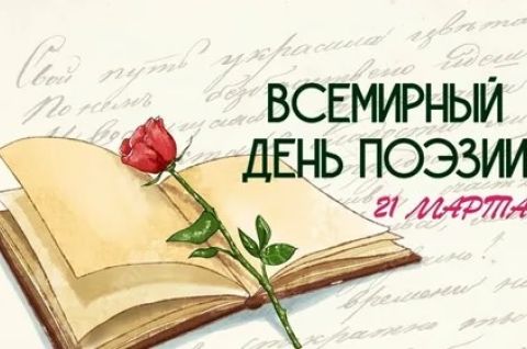 Поэзия нам дарит красоту