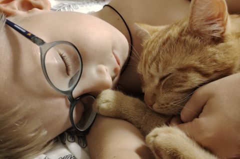 Фотовыставка 