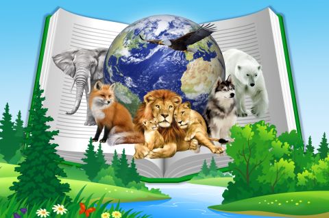 Через книгу в мир природы