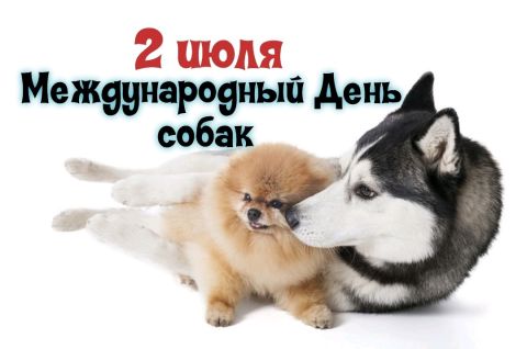 В книжках собачки